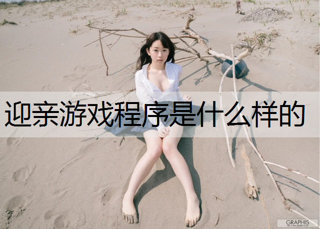 迎亲游戏程序是什么样的