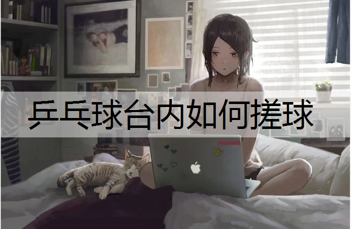 乒乓球台内如何搓球