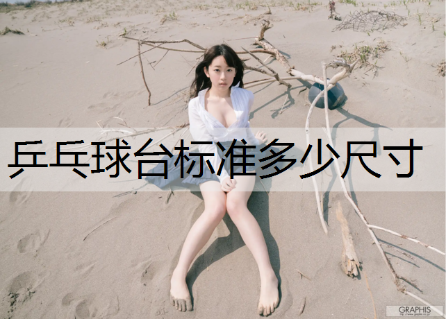 乒乓球台标准多少尺寸