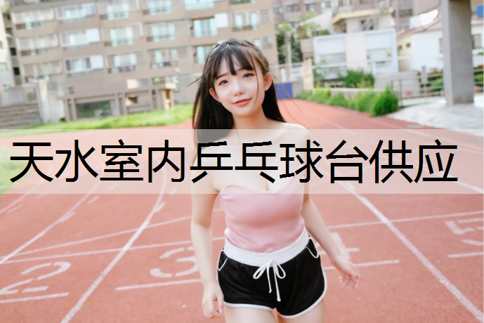 天水室内乒乓球台供应
