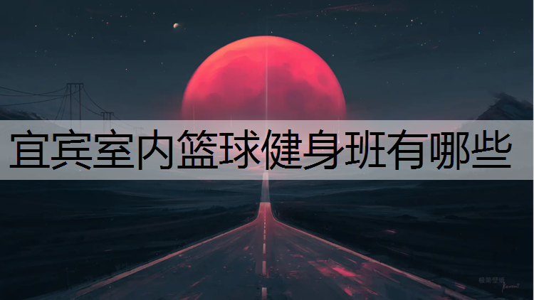 宜宾室内篮球健身班有哪些