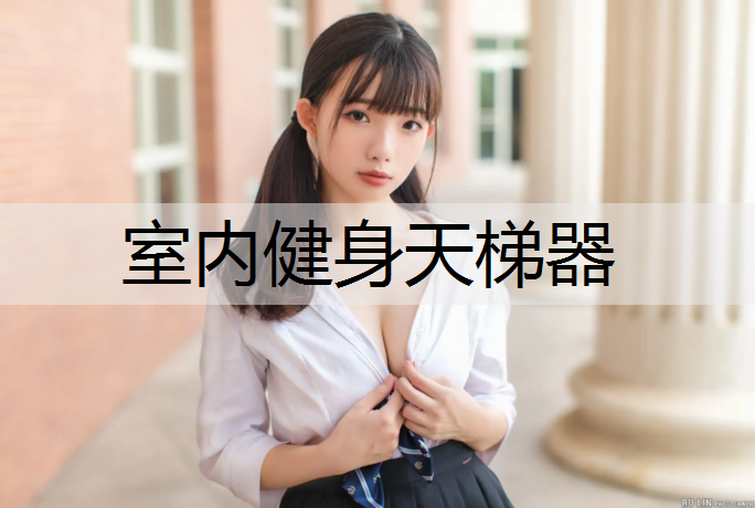 室内健身天梯器