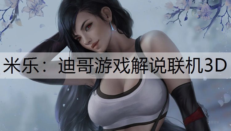 迪哥游戏解说联机3D 迪哥游戏解说联机3D