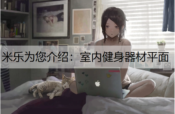 室内健身器材平面