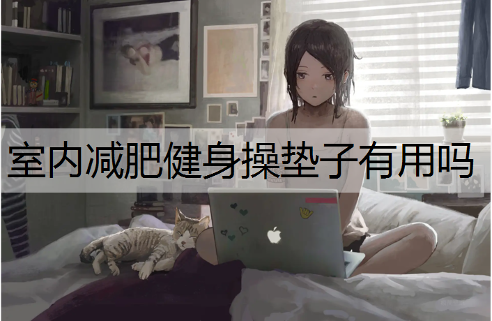 室内减肥健身操垫子有用吗